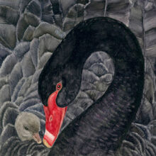 Original Art by Kathleen R. Bates