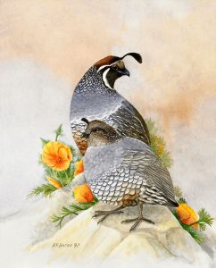 Original Art by Kathleen R. Bates