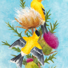 Original Art by Kathleen R. Bates