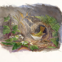 Original Art by Kathleen R. Bates