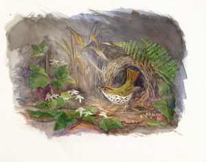 Original Art by Kathleen R. Bates