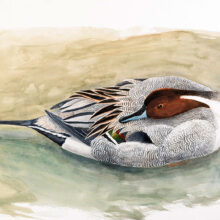 Original Art by Kathleen R. Bates