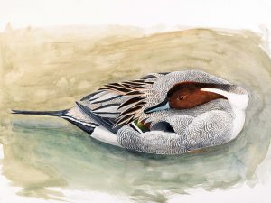 Original Art by Kathleen R. Bates