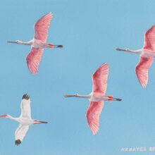 Original Art by Kathleen R. Bates