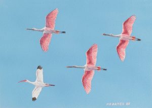 Original Art by Kathleen R. Bates