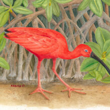 Original Art by Kathleen R. Bates