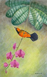 Original Art by Kathleen R. Bates