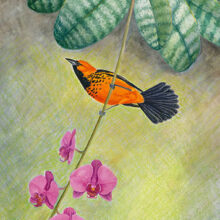 Original Art by Kathleen R. Bates