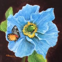 Original Art by Kathleen R. Bates